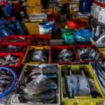 Vietnam asks United States to reconsider seafood export ban