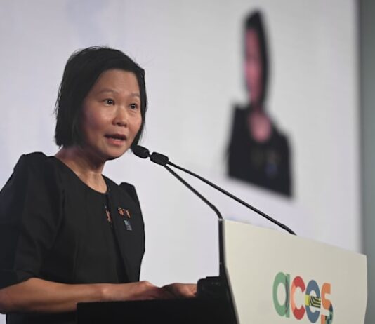 As firms grow doubtful of carbon credits, Singapore unveils raft of initiatives to tackle transparency concerns