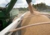 China imports no US soybeans in September for first time in seven years