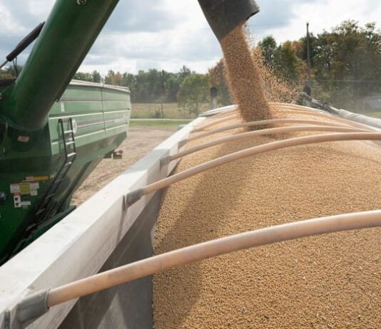 China imports no US soybeans in September for first time in seven years