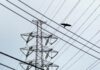 J-Power to shut two coal-fired power plants, committed to offshore wind project