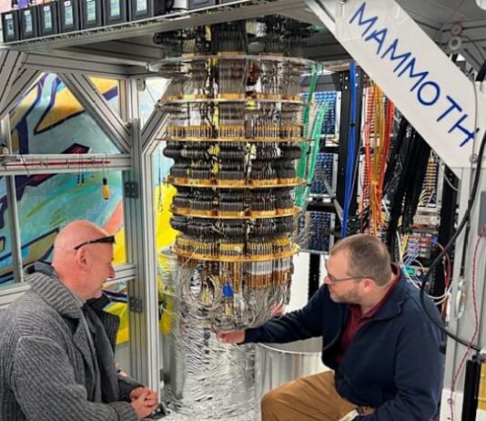 Analysis:Futuristic quantum computing stocks take speculators on roller-coaster ride