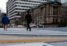 Bank of Japan’s Noguchi advocates gradual interest rate hikes