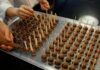 Barry Callebaut to use NotCo AI to develop chocolate recipes