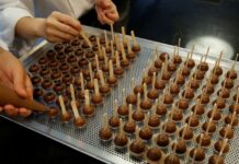 Barry Callebaut to use NotCo AI to develop chocolate recipes