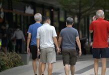 Fractional work, traineeships being trialled to support seniors wishing to contribute to workforce