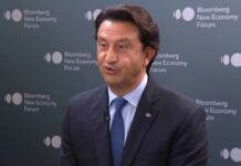 Hybrids will outrun EVs – but only for now: Hyundai CEO