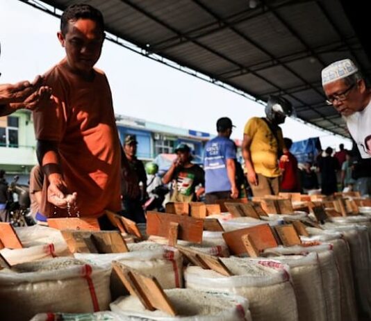 Indonesia Q3 GDP growth at 5.04% y/y, official data shows