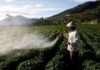 Indonesia to invest $22 billion in agricultural processing, minister says