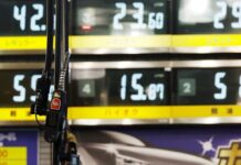 Japan to temporarily hike fuel subsidies to smooth tax cut impact