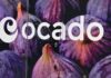 Ocado slides 17% as US partner Kroger closes robotic warehouses