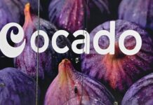 Ocado slides as US partner Kroger says it will close three robotic warehouses