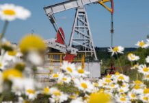 Oil prices drop on expectations of ceasefire in Ukraine unlocking Russian supply