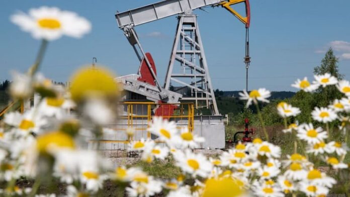 Oil prices drop on expectations of ceasefire in Ukraine unlocking Russian supply