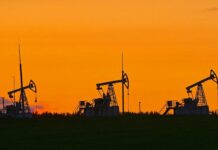 Oil prices little changed as markets eye US government reopening