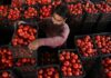Pakistan October inflation rises to 6.2%, highest in 12 months