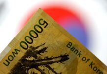 South Korea finance chief vows FX stability, but offers no near-term measures