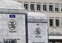 States seek extension of e-commerce tariff moratorium at WTO