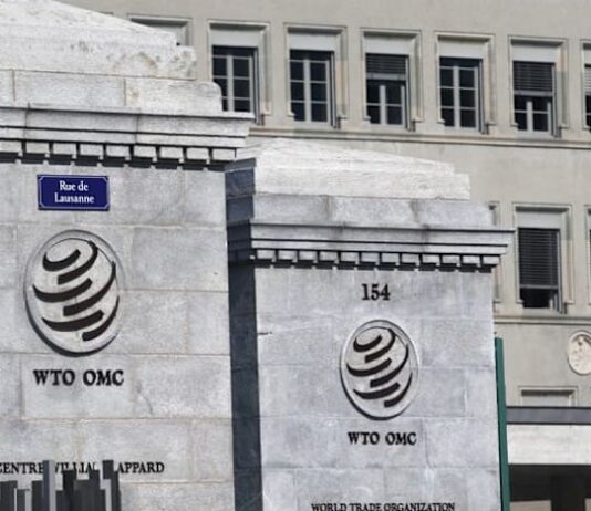 States seek extension of e-commerce tariff moratorium at WTO