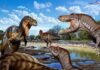 A throat bone settles it – Nanotyrannus was not a juvenile T. rex