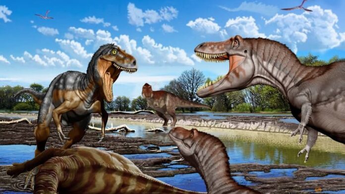 A throat bone settles it - Nanotyrannus was not a juvenile T