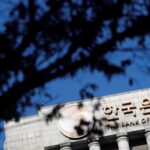 Bank of Korea needs to remain wary of financial stability risks, board member says