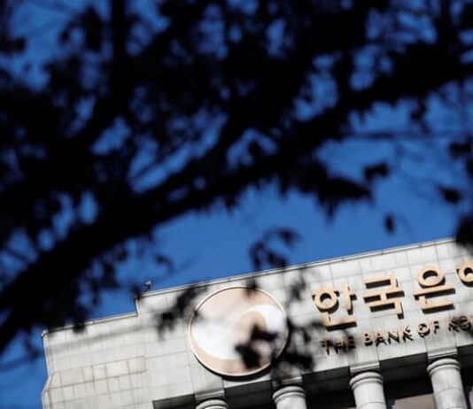 Bank of Korea needs to remain wary of financial stability risks, board member says