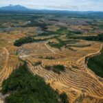 Indonesia will issue investment instruments for export earnings of natural resources