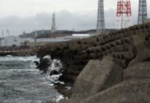 Japan’s TEPCO to partially restart world’s biggest nuclear power plant on January 20