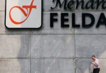 Malaysia’s Felda, FGV say Terengganu land spat could disrupt operations, impact national output