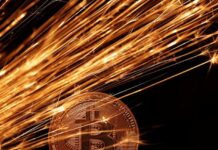 Opaque crypto schemes endanger Central African Republic state assets, report says