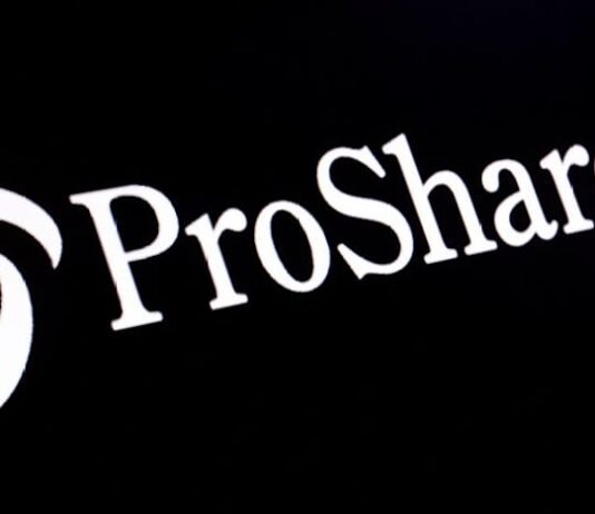 ProShares withdraws some highly leveraged ETF plans after SEC review halt
