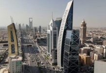 Saudi Arabia aims to draw in more Japanese investment, PIF governor says