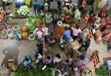 Sri Lankan economy grew 5.4% in third quarter of 2025