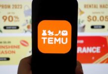 Temu-owner PDD Holdings appoints co-CEO Zhao as co-chairman of board