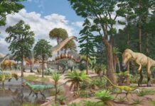 Baby long-necked dinosaurs were a ‘perfect snack’ for predators