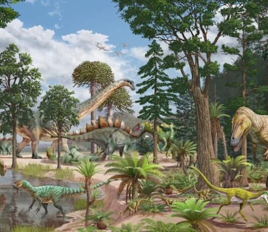 Baby long-necked dinosaurs were a ‘perfect snack’ for predators