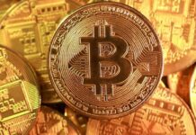 Bitwise and Proficio Capital Partners ETF targets gold, metals, bitcoin as alternative to currencies