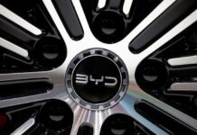 BYD posts weakest sales growth in five years on headwinds at home
