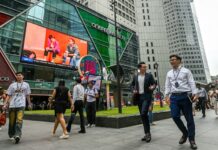 Employment growth in Singapore strengthens in 2025, retrenchments remain low: Advance estimates