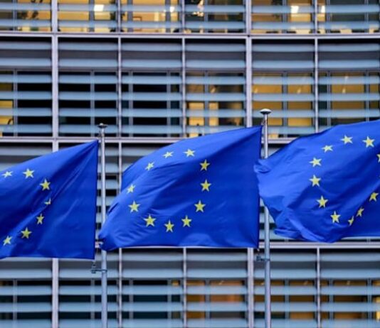 EU to bar Chinese suppliers from critical infrastructure, FT reports