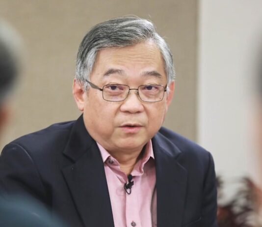 GDP growth may no longer translate to jobs; deliberate strategy needed to create diverse opportunities: DPM Gan