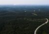Indonesia scraps plan to introduce B50 biodiesel this year, will raise palm oil export levy