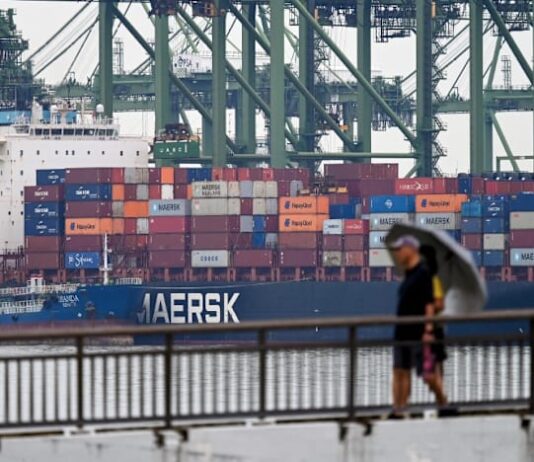 Singapore sees record port performance in 2025