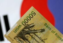 South Korea pension fund to respond to FX volatility, chief says