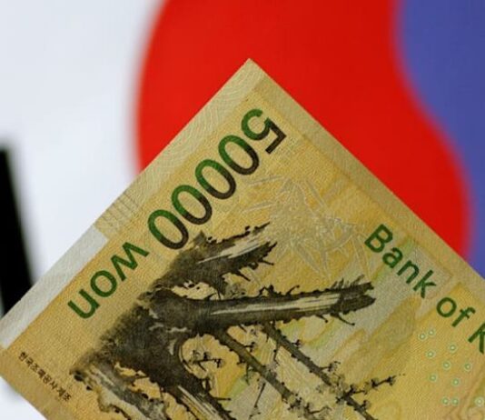 South Korea pension fund to respond to FX volatility, chief says