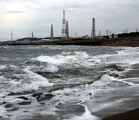 Tepco targets $20 billion in cost cuts over 10 years