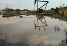 WTI crude extends decline after Trump says Venezuela will send oil to US