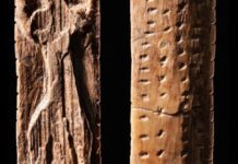 40,000-year-old German artifacts may display written language precursor