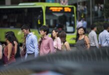 Almost 350 fresh graduates find places in government-sponsored traineeships